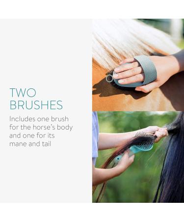 Navaris 2-Part Horse Care Set: Mane Brush & Card tsche for Optimal Fur Care | International Shipping - Buy Online on SooperMarket.com