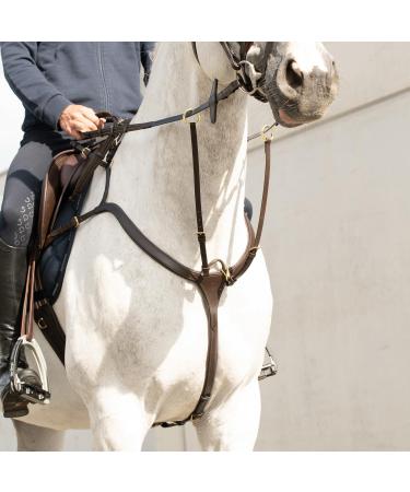 SUNRIDE Ascot Breastplate Made of Genuine Leather with Martingale - for Horses - Can be Used as 5-Point and 3-Point - Martingale Rings for Opening for Quick Threading of the Reins (Cob Brown) Cob brown - Buy Online on SooperMarket.com
