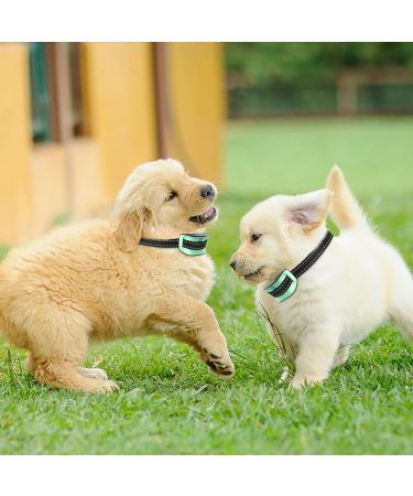 MASBRILL Anti Bark Collar for Large Medium Small Dogs - Dog Barking Collar with Vibration & Sound Harmless Training - Stop Dog Barking Deterrent Device 7 Sensitivity Adjustable No Bark Collar - Green - Buy Online on SooperMarket.com