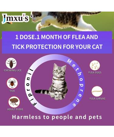 Fipronil Cat Flea & Tick Control - Long-Lasting Treatment for Kittens - 3 Doses - Buy Online on SooperMarket.com