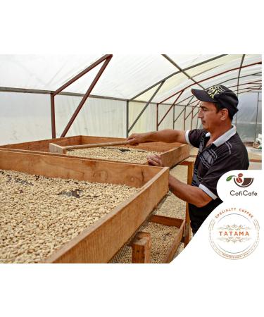 CofiCafe 6 Lbs Specialty Colombian Unroasted Green Coffee - Tatama Valle del Cauca (SCA 87) - Buy Online on SooperMarket.com