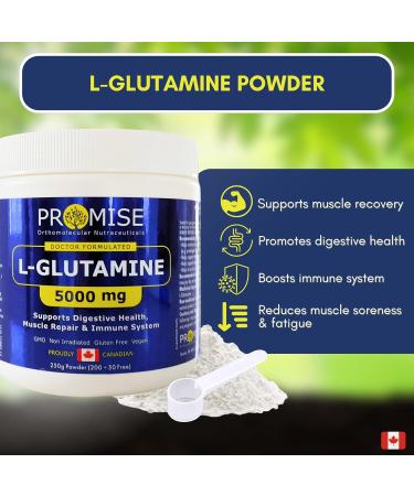 Promise L-Glutamine Powder 250g 5000mg for Gut Health Unflavored Non GMO Post and Pre Workout Amino Acids Supplement L Glutamine Digestive System Support 50 Servings - Buy Online on SooperMarket.com