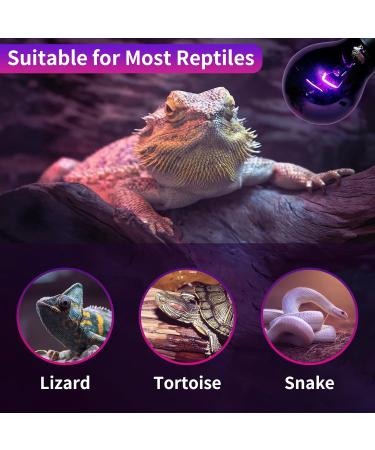 LUCKY HERP Reptile Night Heat Bulb 50W Night Heat Lamp Bulbs for Reptiles 2 Pack Reptiles & Amphibians Basking Spot Light Bulb for Bearded Dragon Lizard Snake Turtle Chameleon - Buy Online on SooperMarket.com