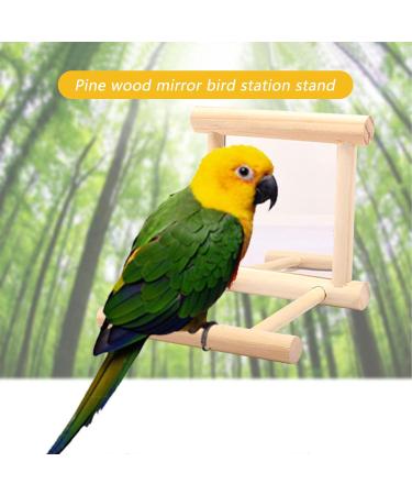 2Pcs Parrot Hanging Swing Mirror Fun Wooden Parrot Mirror Hanging Wooden Bird Mirror Toy Parrot Toy Budgie Mirror for Small Birds - Buy Online on SooperMarket.com