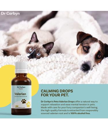 Dr Corbyn Pets Valerian Drops | Calming Supplement for Dogs, Cats & Pets | Supports Relaxation & Stress Relief (50ml) - Buy Online on SooperMarket.com