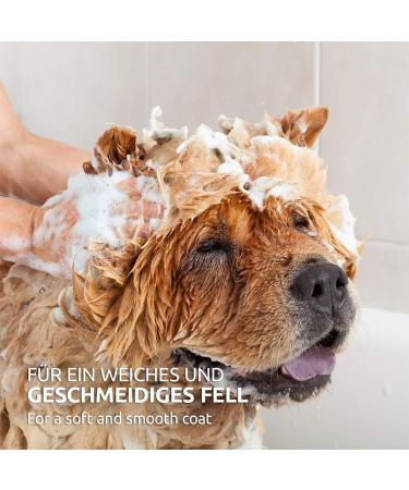 Aniforte Fellharmonie Conditioner for Dogs 200ml - Natural Coconut Oil & Aloe Vera Rinse for All Coat Types Perfume-Free International Shipping - Buy Online on SooperMarket.com