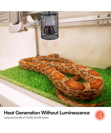 Reptile Heat Lamp with Guard 100W Ceramic Heating Lamp with Anti Hot Bracket Cage Lampshade Holder Heater Lighting Infrared Reptile Heat Bulb for Bearded Dragon Lizard Tortoise Snake Birds UK Plug - Buy Online on SooperMarket.com