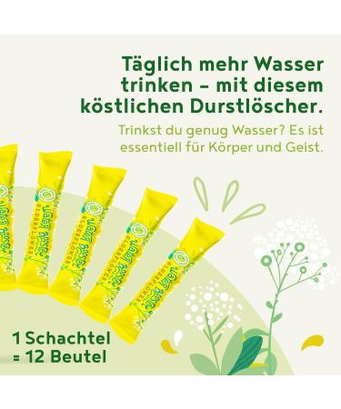 Water Booster Beverage Mixture with Vitamin C - Elderflower Flavor Drink Powder | Low Calorie & Low Sugar | 12x2.5g Convenient Packs - Buy Online on SooperMarket.com