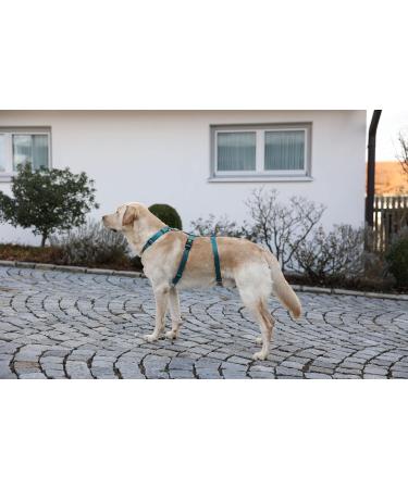 Kerbl 80045 Panic Harness Miami - Escape-Proof Design Petrol Color Adjustable 64-100cm | Shop Now for International Shipping - Buy Online on SooperMarket.com