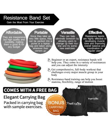 TheFitLife Exercise Resistance Bands with Handles - 5 Stackable Fitness Bands up to 300 lbs - Includes Handles, Ankle Straps, Door Anchor & Carry Bag - Buy Online on SooperMarket.com