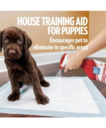 OUT! Indoor and Outdoor Dog and Puppy Training Spray | House-Training Aid| 500ml 500 ml (Pack of 1) - Buy Online on SooperMarket.com