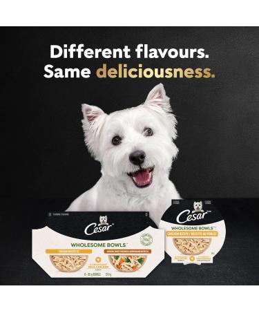 Cesar Wholesome Bowls Adult Wet Dog Food Beef Chicken Carrots & Purple Potato 85g Pack of 10 Beef & Chicken 85 g (Pack of 10) - Buy Online on SooperMarket.com