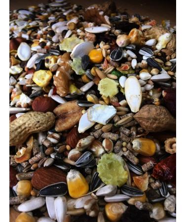 cura-canin 10 kg premium squirrel super food squirrel food of the highest class scatter feed feeder