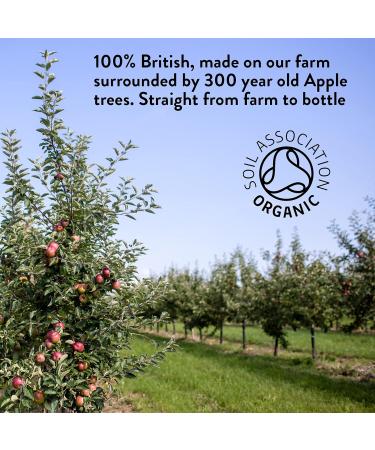 Organic WILLY'S Apple Cider Vinegar with Mother - 5L Jerry Can - Probiotics for Detox & Gut Health - Sustainable ACV - 5 l (1 Pack) - Buy Online on SooperMarket.com