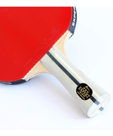Palio Expert 3.0 Table Tennis Racket & Case - ITTF Approved Beginner Ping Pong Bat - Buy Online on SooperMarket.com
