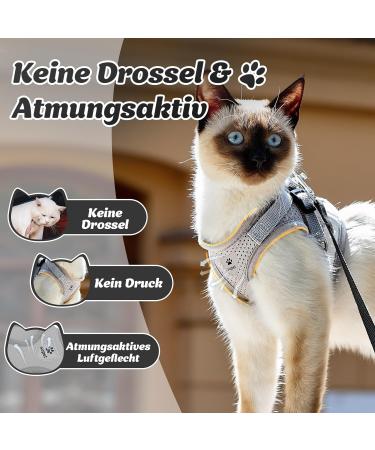 Supet Cat Tableware Dishes & Soft Vest with Leash for Kittens & Puppies - Gray (Size M: 33-38 cm) | International Shipping - Buy Online on SooperMarket.com