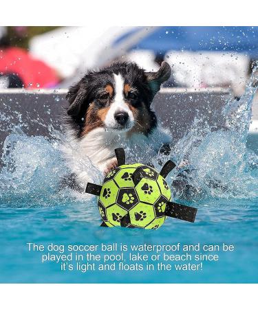 LOTUSWILD Durable Dog Toy Ball with Handle 15cm Ideal for Large Medium & Small Dogs Green | International Shipping Available - Buy Online on SooperMarket.com