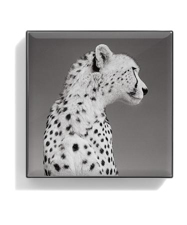 Chantecaille Luminescent Eye Shade - Cheetah | 2.5g - Buy Online on SooperMarket.com