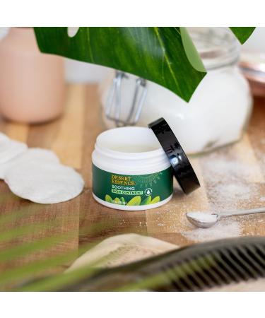 Desert Essence Tea Tree Oil Skin Ointment - Moisturizer with Jojoba Lavender & Vitamin E - 1 Fl Oz (Pack of 6) | Best for Dry Skin & Irritations - International Shipping Available - Buy Online on SooperMarket.com