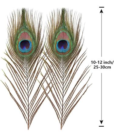 10pcs Multicolored Natural Peacock Feathers for DIY Crafts and Easter Decoration - 10-12 inch - Buy Online on SooperMarket.com
