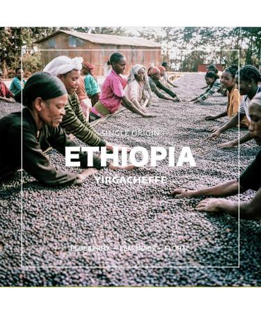Organic Ethiopian Yirgacheffe Green Coffee Beans 2lbs - Grade 1 Specialty Arabica - Fair Trade - Women Produced - Single Origin - Buy Online on SooperMarket.com