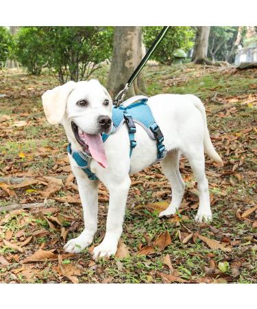 Buy Belpro Multi-Purpose Dog Harness - No Pull Reflective Adjustable Vest for Large Dogs - Durable Handle & Dog Dishes - Ideal for Active Dogs (Blue M) - Buy Online on SooperMarket.com