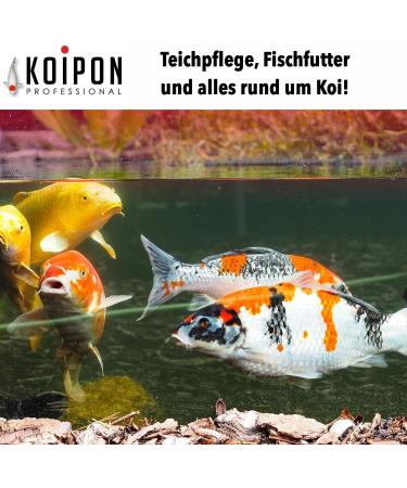 Koipon Pon Balls 5L - Nitrifying Bacteria & Microorganisms for Pond Maintenance | Starter for Garden Fish & Swimming Ponds | Filter Bacteria Gel Balls - Buy Online on SooperMarket.com
