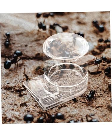 Parliky Pet Water Feeder Ant Feeder Station Ant Bottle Feeder Ant Nest Water Feeder Transparent Plastic - Buy Online on SooperMarket.com