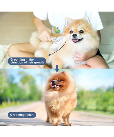 Crala Self Cleaning Slicker Brush- Pet Grooming Shedding Tool for Short & Long Haired Dogs & Cats- Removes Loose Undercoat, Mats & Tangles- White - Buy Online on SooperMarket.com