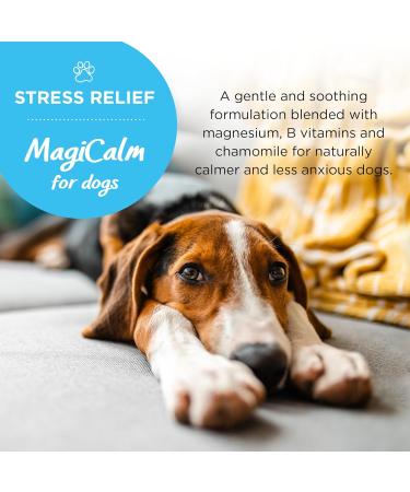 MagiCalm For Dogs | Healthspan | 60 Tablets | Anxious Dogs | Magnesium | B Vitamins | Chamomile | Pet Health | Vegetarian - Buy Online on SooperMarket.com