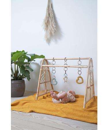 BIBSS LOOPS 12-Pack - BPA-Free Food Safe Teethers for 0-36 Months | Blush Woodchuck Ivory - Buy Online on SooperMarket.com