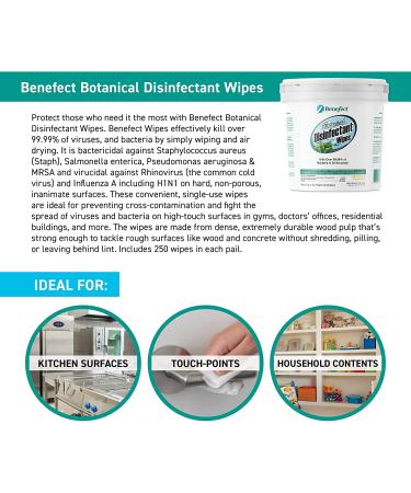 Benefect Botanical Disinfecting Wipes - (250 Wipe Count) Natural  No Residue - Antibacterial Disinfectant  Multi-Surface Cleaning and Sanitizing Wipes 250 Count (Pack of 1) - Buy Online on SooperMarket.com