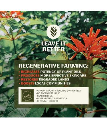 Thrive Natural Body Mineral Sunscreen SPF 50 - Reef Safe, Vegan, Water Resistant, 5.8 oz - Buy Online on SooperMarket.com