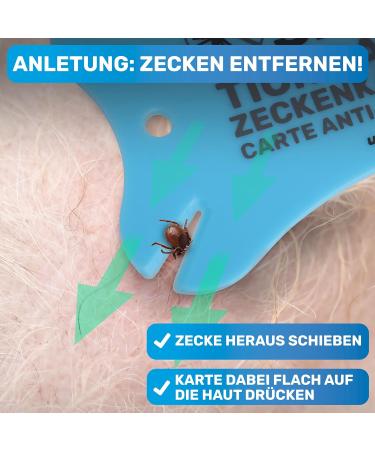 Bluepet 2x Tick Card with Magnifying Glass - Effective Tick Remover for Humans & Pets - First Aid Solution for Dogs & Cats - Buy Online on SooperMarket.com