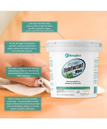 Benefect Botanical Disinfecting Wipes - (250 Wipe Count) Natural  No Residue - Antibacterial Disinfectant  Multi-Surface Cleaning and Sanitizing Wipes 250 Count (Pack of 1) - Buy Online on SooperMarket.com