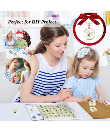 Dried White Pansy Flowers - 60 pcs for Resin Art, Jewelry, Candle Making & Crafts - Buy Online on SooperMarket.com