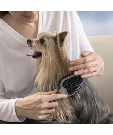 FURminator Dual Grooming Brush for Cats and Dogs - Shedding Tool for Effective Pet Hair Removal - Buy Online on SooperMarket.com