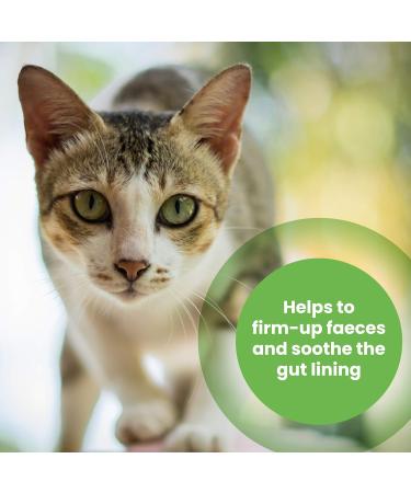 Protexin pet health Pro-Kolin for Dogs and Cats Probiotic Paste and Syringe 60 ml (Pack of 1) 60 ml (Pack of 1) Single Single - Buy Online on SooperMarket.com