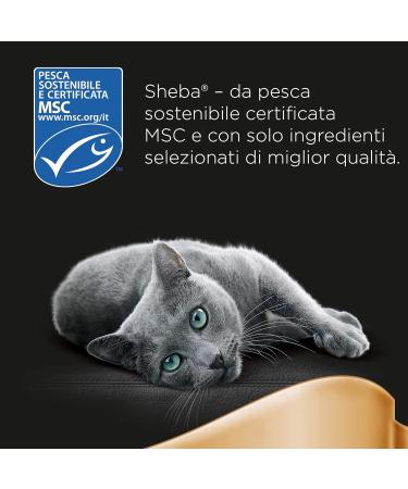 Sheba D lice Gourmands Paris Cat Food with Beef & White Fish - 72 Bags (50g Each) - Premium Fish & Seafood Treats - International Shipping Available - Buy Online on SooperMarket.com
