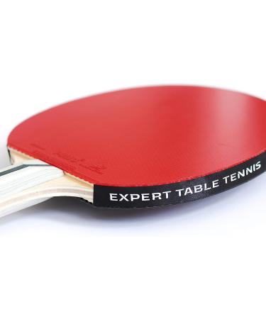 Palio Expert 3.0 Table Tennis Racket & Case - ITTF Approved Beginner Ping Pong Bat - Buy Online on SooperMarket.com