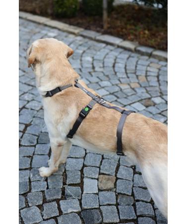 Kerbl 80044 Panic Harness Miami | Escape-proof Dog Harness | Grey 64-100cm | International Shipping Available - Buy Online on SooperMarket.com