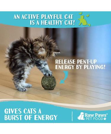 Raw Paws Compressed Catnip Ball Toy 6 Pack for Indoor Cats - All Natural Catnip Interactive Kicker Toy - Catnip Cat Toys for Kitties - Buy Online on SooperMarket.com