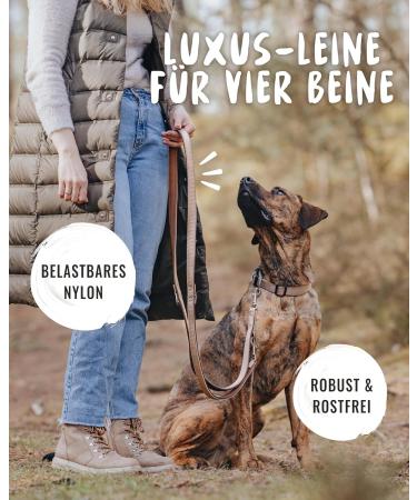 Rudelknig Dog Leash Paola 2.30m - Adjustable Reflective Leash for Medium & Large Dogs - Stylish Rose Color - Buy Online on SooperMarket.com