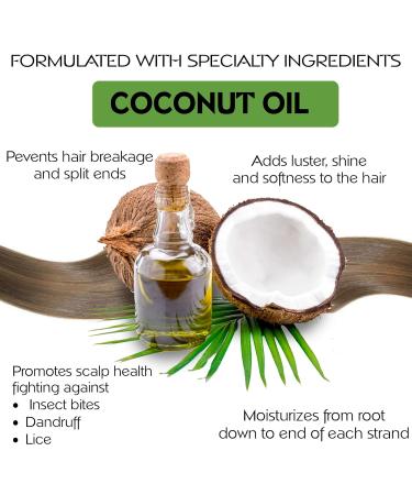 Moisture Renewal Anti Dandruff Shampoo & Conditioner Set | Organic Itchy Scalp Treatment for All Hair Types - 100% Natural & Safe - Buy Online on SooperMarket.com