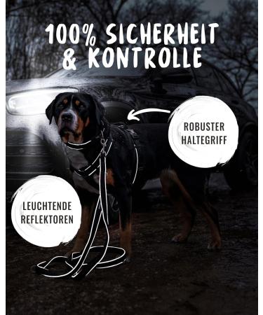 Rudel King Dog Harness Paola - Reflective Adjustable Harness for Small Dogs & Puppies - S Black with Handle - Buy Online on SooperMarket.com