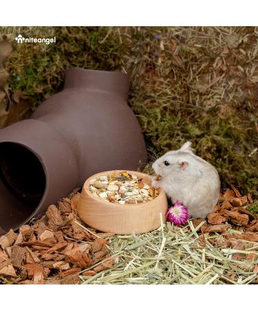 Niteangel Wooden Hamster Feeding Bowl - Small Animal Food Dish for Dwarf Syrian Hamsters Gerbils Mice Degus or Other Similar-Sized Small Pets (Hammy Pattern for Dwarf) Beige Hammy Pattern For Dwarf - Buy Online on SooperMarket.com