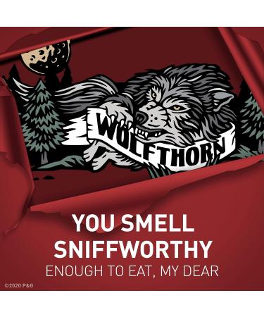 OLD SPICE WILD COLLECTION DEODORANT WOLFTHORN 85G Deodorant - WOLFTHORN 1 count (Pack of 1) - Buy Online on SooperMarket.com