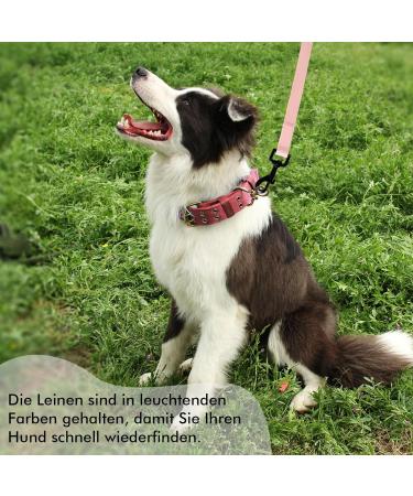 Pink 15m Tag Trag Leash for Dogs - Waterproof Drag Line with Handle & D-Ring | Perfect for Small & Medium Breeds - Easy to Clean Training Leash - Buy Online on SooperMarket.com