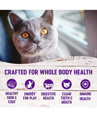 Wellness Complete Health Grain-Free Indoor Chicken Dry Cat Food - 2.25 lb Bag - Buy Online on SooperMarket.com