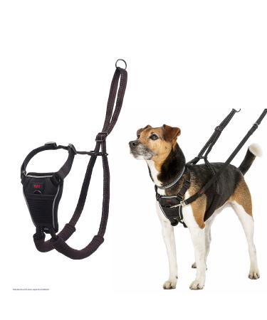 Halti no Pull Anti-Zug dishes size small- prevents your dog from pulling on the leash padded chest and bying belt reflective belt material simple adjustment and use
